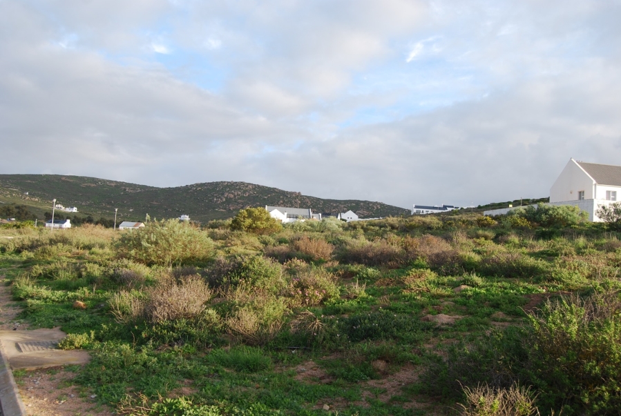 0 Bedroom Property for Sale in Steenbergs Cove Western Cape
